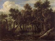Jacob van Ruisdael Marsh in a Forest oil painting reproduction
